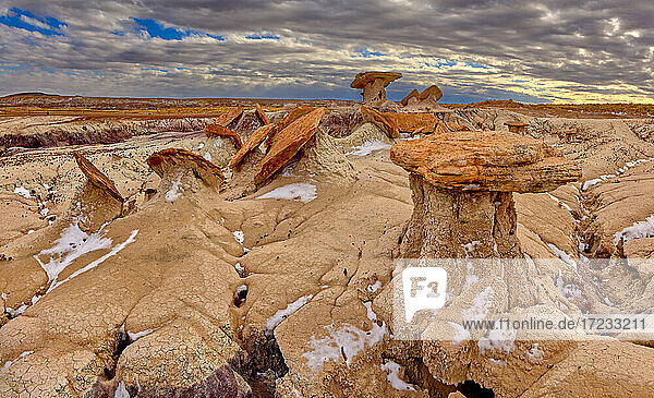 Sand Castle-Formationen am Rande des Red Basin im Petrified Forest National Park  Arizona  Vereinigte Staaten von Amerika  Nordamerika