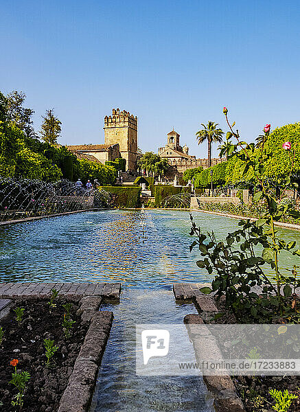 Gardens of Alcazar de los Reyes Cristianos (Alcazar of the Christian Monarchs)  UNESCO World Heritage Site  Cordoba  Andalusia  Spain  Europe