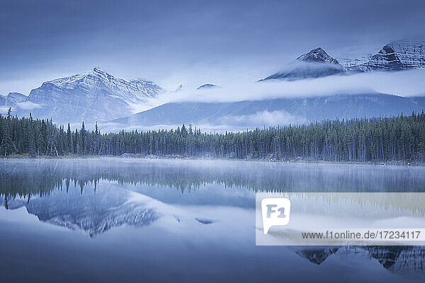 Stimmungsvoller nebliger Morgen am Herbert Lake in den kanadischen Rockies  Banff National Park  UNESCO Weltkulturerbe  Alberta  Kanada  Nordamerika