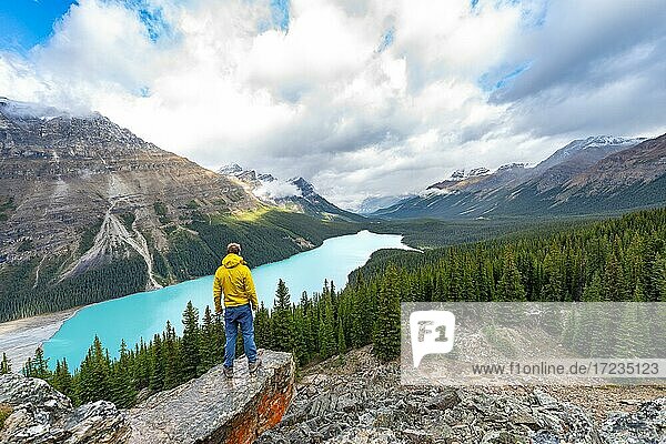Hiker looking into the distance  view of turquoise glacial lake surrounded by forest  Peyto Lake  Rocky Mountains  Banff National Park  Alberta Province  Canada  North America
