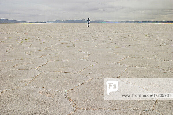 Person standing on salt flat  looking at view  rear view  Salar de Arizaro  Salta Province  Argentina