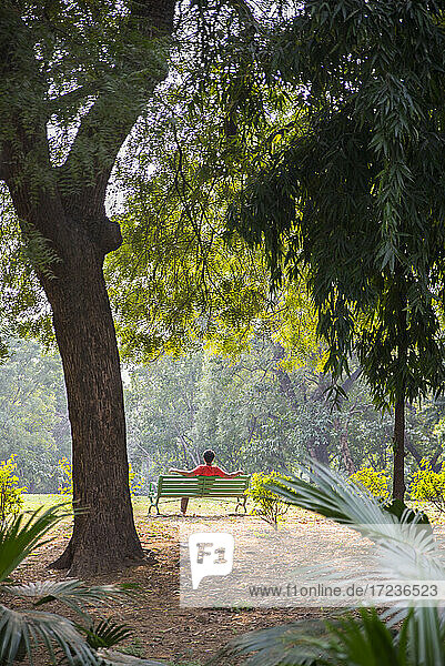 Lodhi Garden  New Delhi  India  Asia