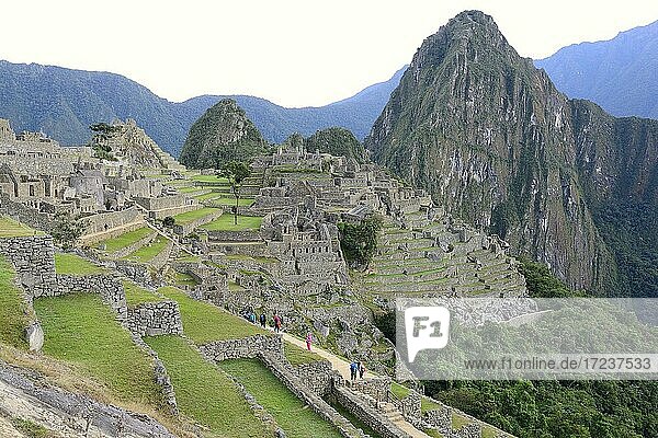 Inca ruined city with Mount Huayna Picchu at dawn  Machu Picchu  Urubamba Province  Peru  South America