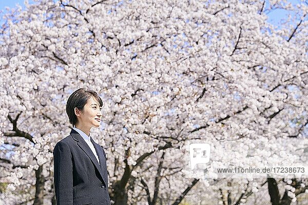 Young Japanese woman and cherry blossoms