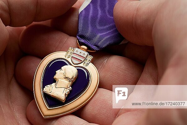 Man holding United States purple heart war medal in the palm of his hand