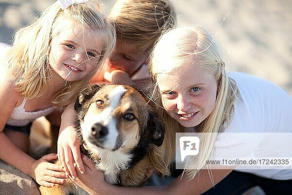 Cute sisters and brother playing with dog at the beach