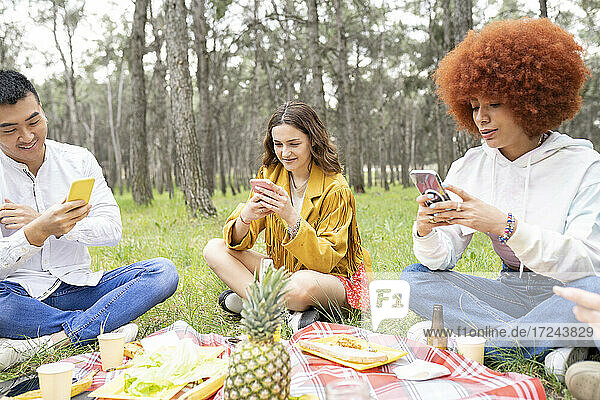 Männliche und weibliche Freunde benutzen Smartphones  während sie im Wald sitzen