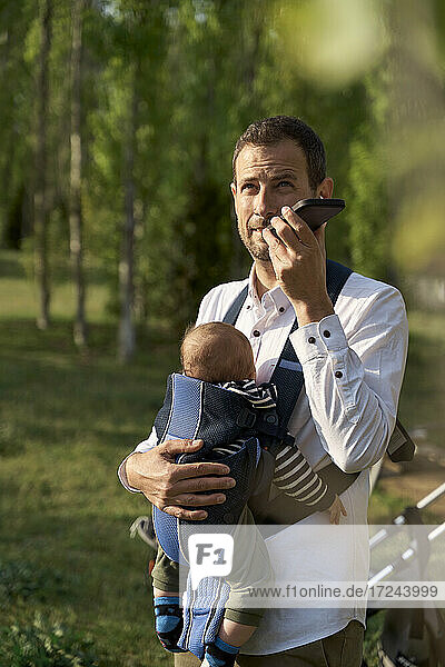 Vater trägt seinen Sohn in der Babytrage  während er im Park mit dem Handy telefoniert