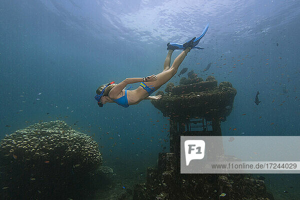 Young woman diving near underwater temple in Java Sea