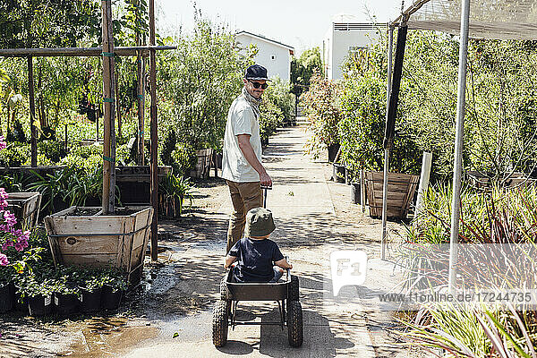 Smiling father pulling son in wheelbarrow during sunny day at plant nursery