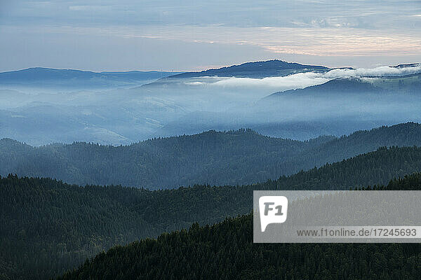 Blick vom Hochblauen auf die umliegenden Berge bei nebliger Morgendämmerung