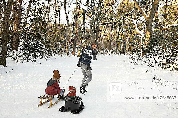 Playful father pulling sons sitting on sled during winter