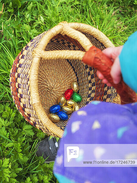 Mädchen hält Korb mit Osterei auf Gras