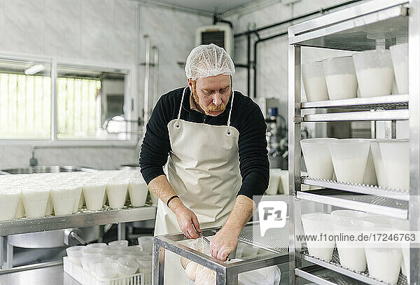 Male chef working in dairy factory