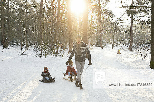 Father pulling sons sitting on sled in snow during sunny day