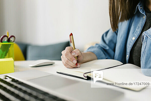 Weibliche professionelle Schreiben auf Tagebuch zu Hause Büro