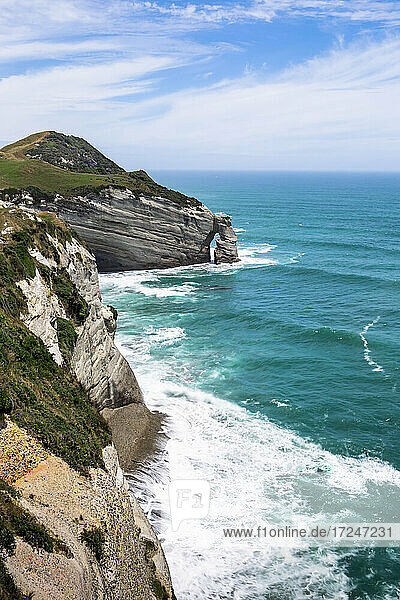 New Zealand  South Island  Cliffs of Cape Farewell
