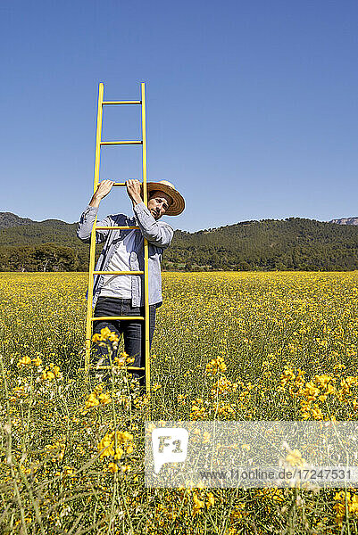 Mann mit Hut steht auf einer Leiter in einem Feld