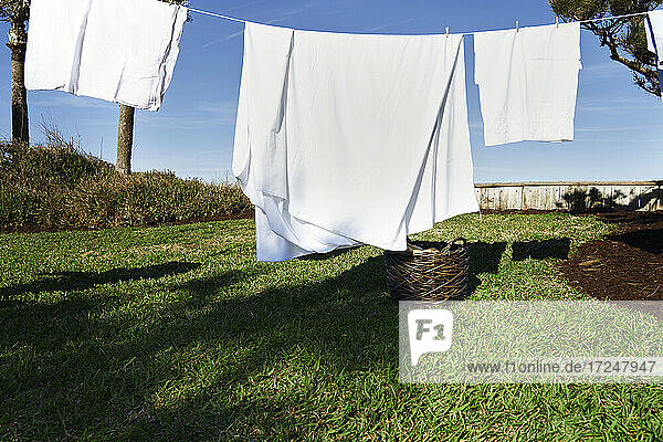 Weiße Wäsche zum Trocknen auf der Wäscheleine im Hinterhof
