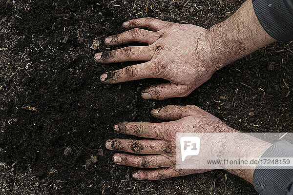 Dirty hands of mature man on agricultural land