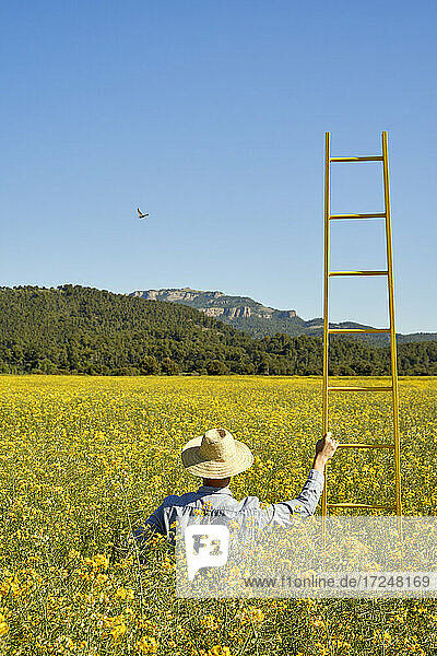Mann mit Leiter auf einem Feld an einem sonnigen Tag