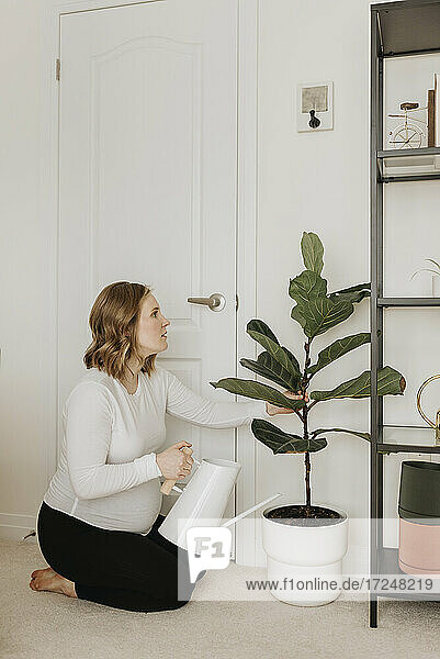 Schwangere Frau mit Gießkanne  die eine Topfpflanze zu Hause betrachtet
