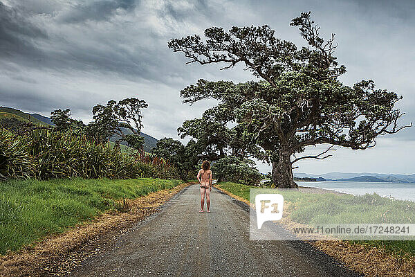 Neuseeland  Nordinsel  Coromandel  Rückansicht eines Mannes auf der Straße mit Blick auf die Jackson Bay