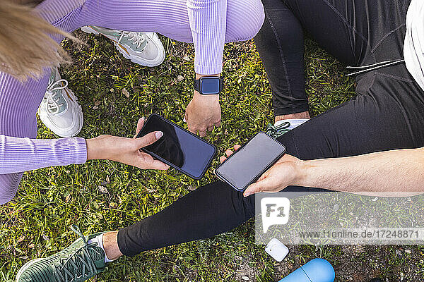Männliche und weibliche Freunde halten ein Handy  während sie im Gras sitzen