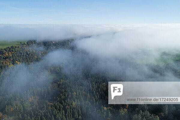 Drohnenansicht des Schwarzwalds im dichten Nebel