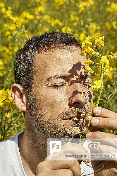 Mann mit geschlossenen Augen  der einen Zweig einer gelben Blume auf einem Feld an einem sonnigen Tag hält