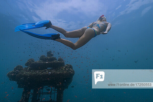 Junge Frau taucht in der Nähe eines Unterwassertempels in der Javasee