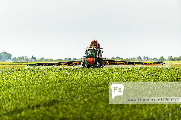 Crop sprayer sprinkling herbicide on uncultivated wheat farm during springtime