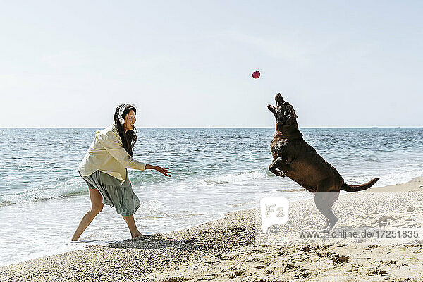 Frau und Labradorhund spielen am Wochenende mit Ball am Strand