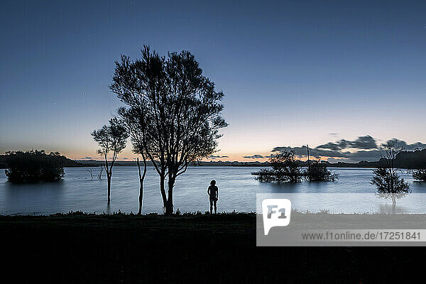 New Zealand  North Island  Rotorua  Silhouette of man looking at Lake Okareka at sunset