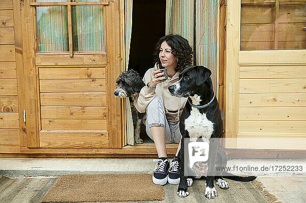 Lächelnde Frau  die wegschaut  während sie mit Hunden vor der Tür sitzt