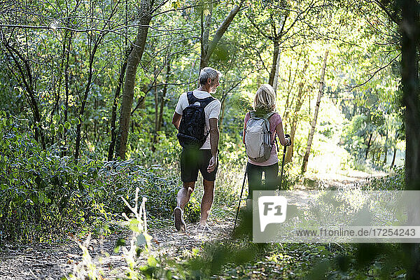 Rückansicht eines reifen Paares beim gemeinsamen Wandern im Wald