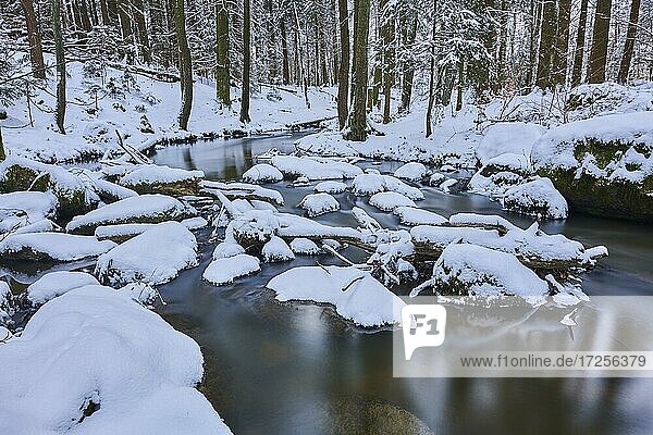Wildbach Höllbach fließt durch verschneiten Wald  Naturschutzgebiet Hölle  Bayern  Deutschland  Europa
