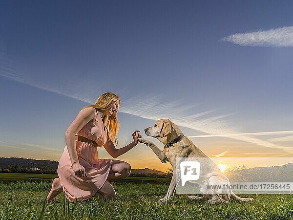 Junge Frau spielt mit Hund  Labrador Retriever  Sonnenuntergang  Schorndorf  Baden-Württemberg  Deutschland  Europa
