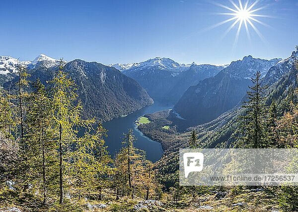 Panoramablick auf den Königssee von der Achenkanzel  herbstlicher Wald und schneebedeckte Berge  Nationalpark Berchtesgaden  Berchtesgadener Land  Oberbayern  Bayern  Deutschland  Europa