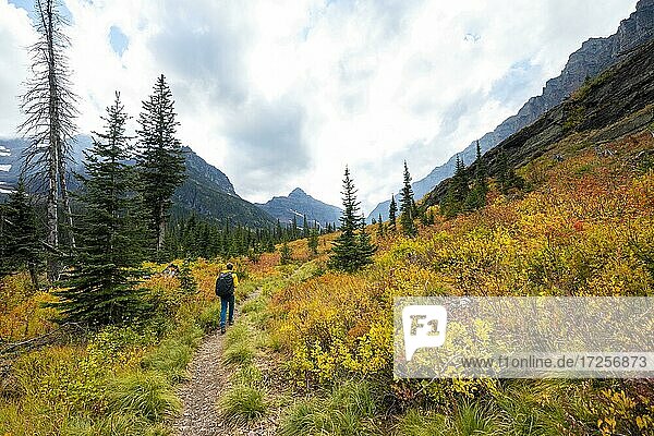 Hikers on a trail through mountain landscape  bushes in autumn colors  hiking to Upper Two Medicine Lake  Glacier National Park  Montana  USA  North America