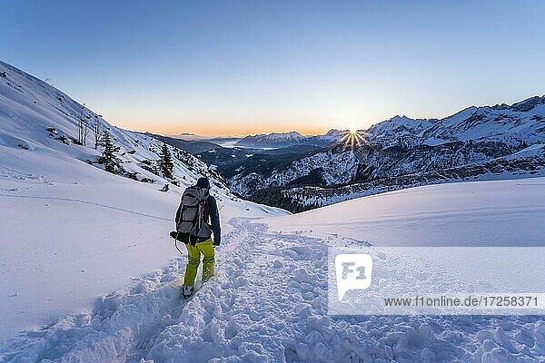 Skitourengeher auf dem Weg zur Alpspitze  Sonnenaufgang  Wettersteingebirge mit Wettersteingrad  Schnee im Winter  Garmisch-Partenkirchen  Bayern  Deutschland  Europa