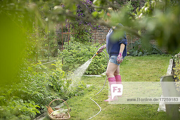 Frau mit Schlauch Bewässerung Pflanzen im Sommer Gemüsegarten