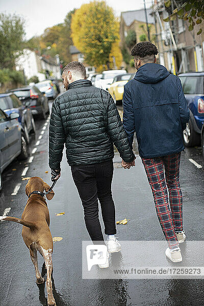 Homosexuelles männliches Paar hält sich an den Händen und geht mit dem Hund auf der nassen Straße spazieren
