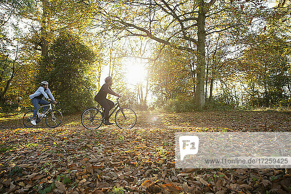 Paar fahren Fahrräder im Herbst Blätter in sonnigen sonnigen Park