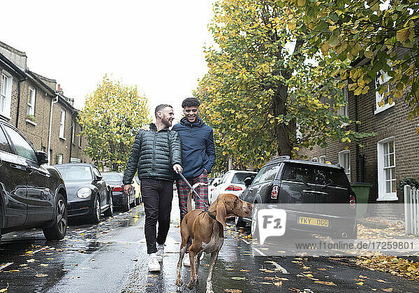 Gay male couple walking dog on leash on wet autumn city street