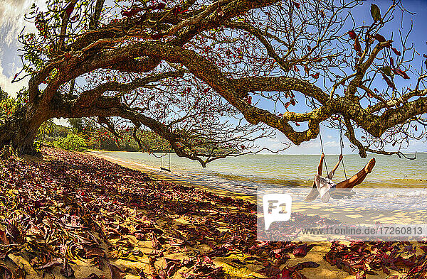 A young woman enjoys a quiet fall day by the seaside on a swing  Kiluea  Hawaii  United States of America  Pacific