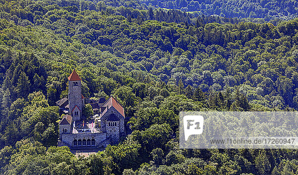 Aerial view of Wachenburg Castle in Weinheim  UNESCO Global Geopark Bergstraße-Odenwald  Baden-Württemberg  Bergstraße  Odenwald  South Germany  Germany  Europe.