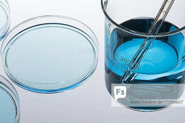 Petrischale mit blauer Flüssigkeit und Pipette