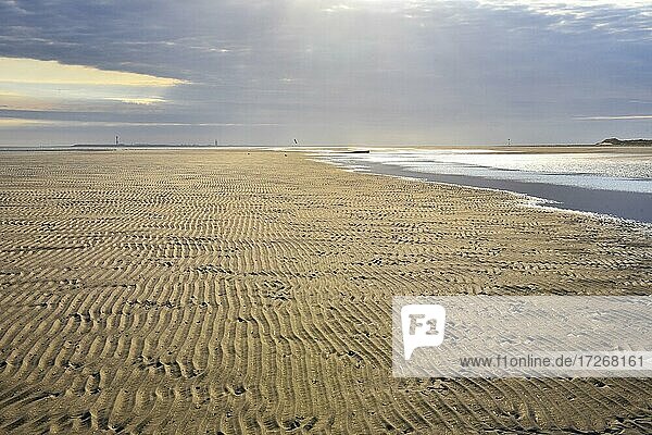 Sandy beach beach with ripple pattern  Spiekeroog  East Frisian Island  East Frisia  Lower Saxony  Germany  Europe
