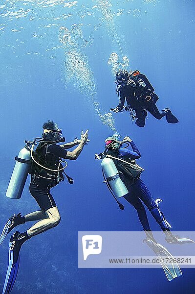 Divers discussing with dive guide while surfacing  Wakatobi Dive Resort  Sulawesi  Indonesia  Asia
